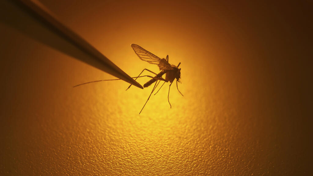 Climate change is changing the geography of infectious disease
